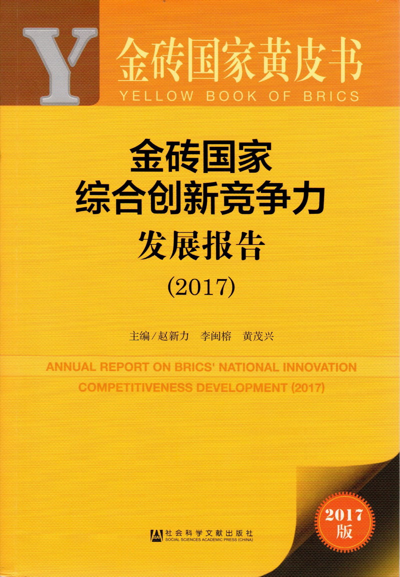 大鸡吧快插我视频网站金砖国家综合创新竞争力发展报告（2017）